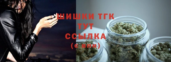 дживик Арсеньев